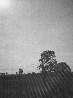 The Three-Cornered Field by moonlight, 1961